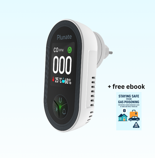 Portable CO detector